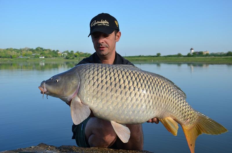 Sarulesti - Mai 2013 - andrei-vladeanu-pescuit-sarulesti-27.JPG